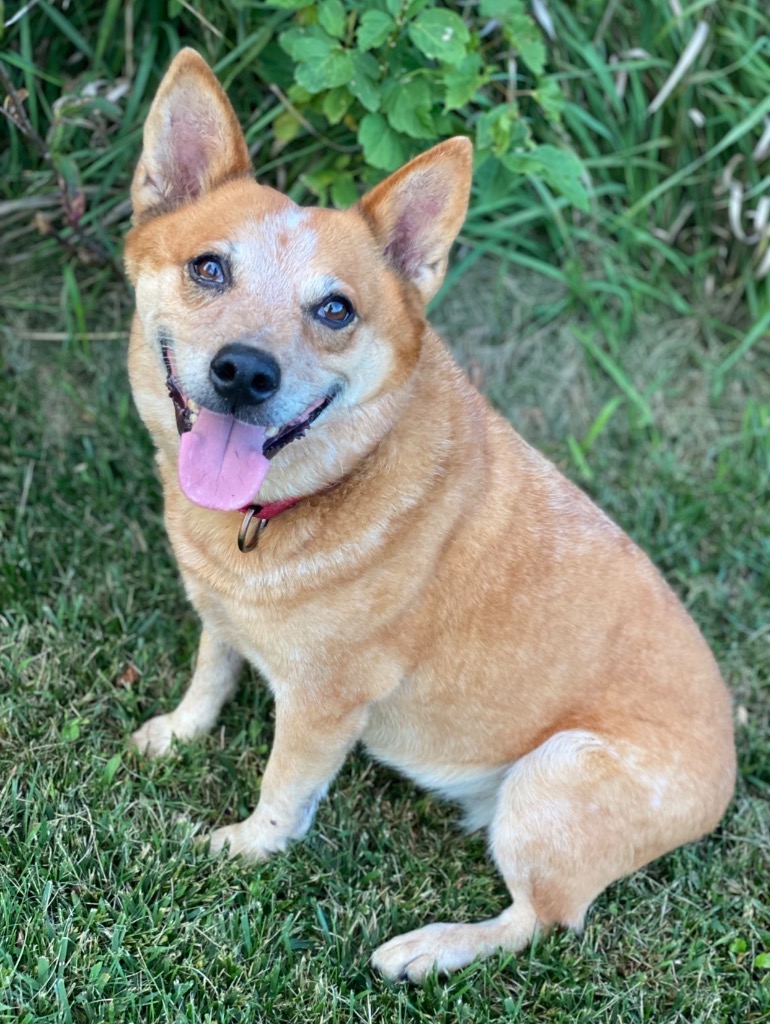 Layla