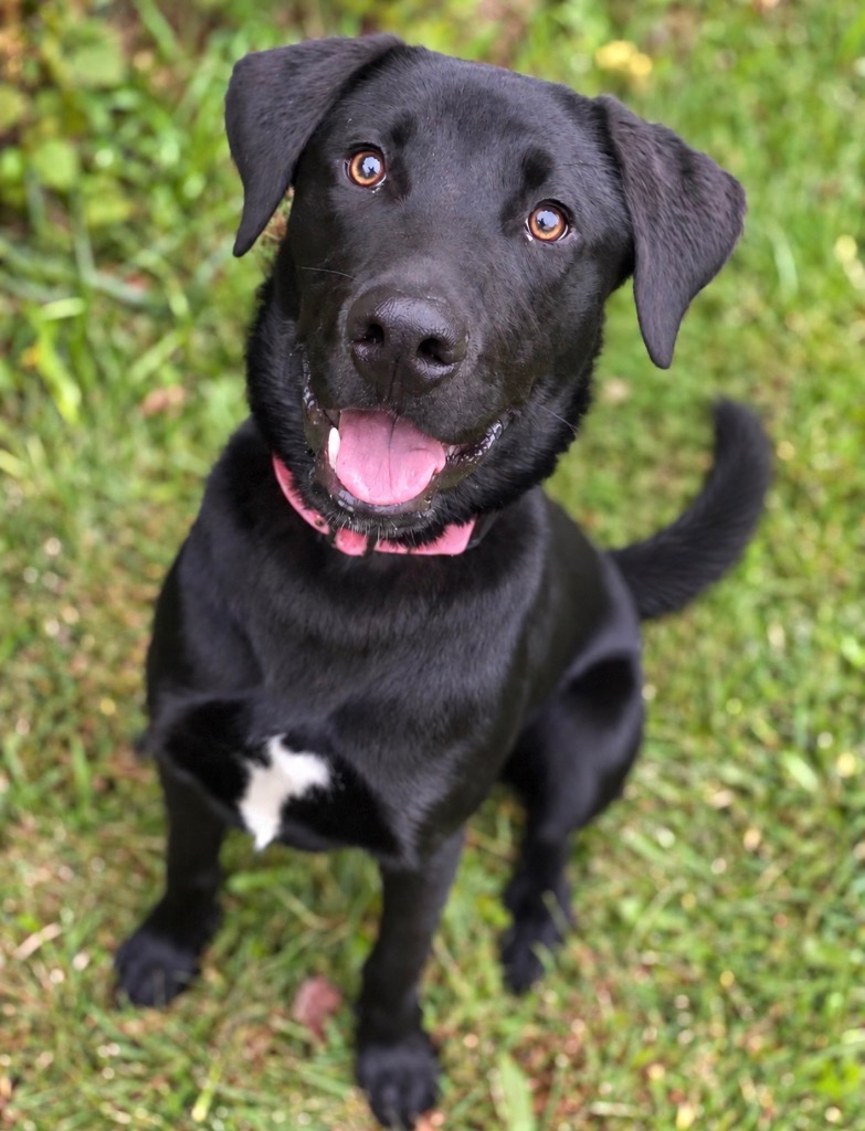 Luka