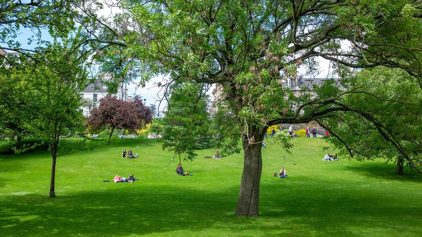 Park with green trees