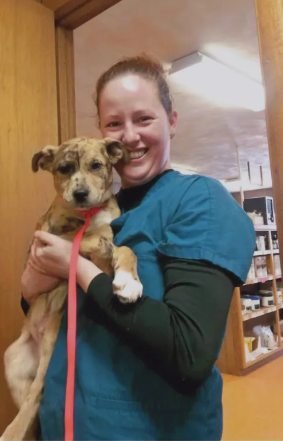 Dr. Amanda Elston
