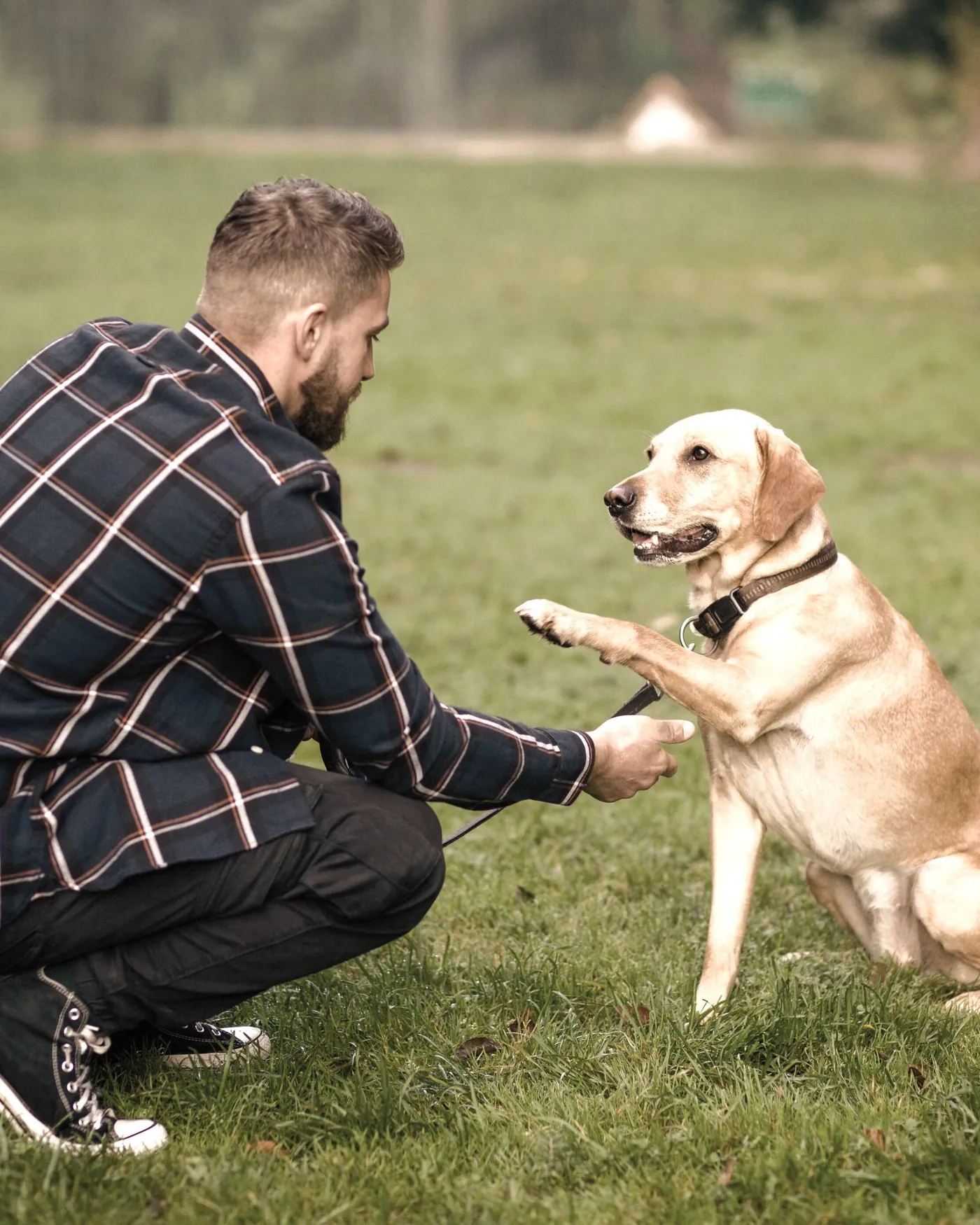 Giving a hand