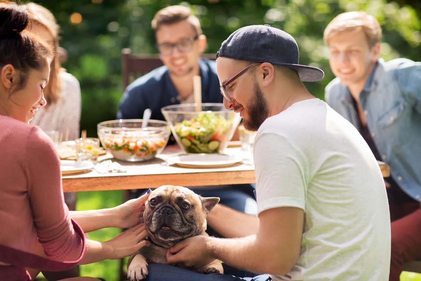Family dog