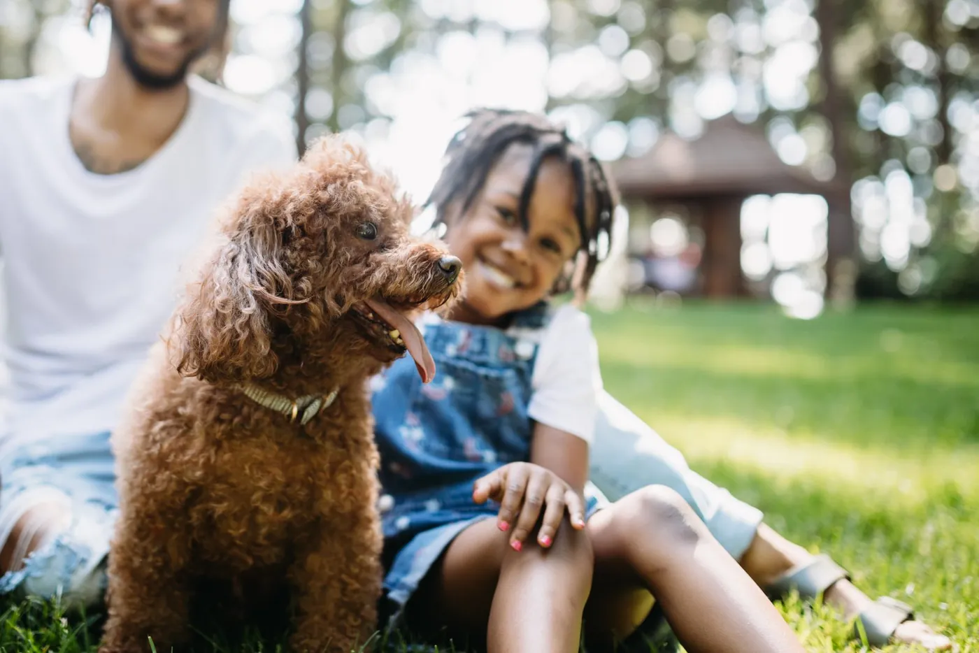 Dog with family in background